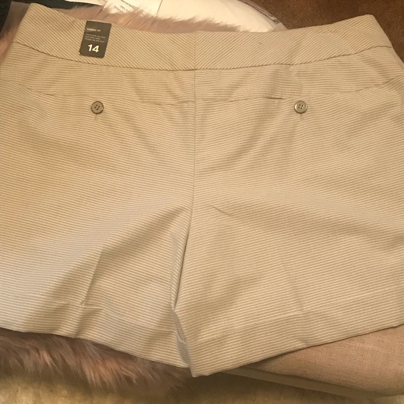 Limited Express Shorts - Picture 2 of 8